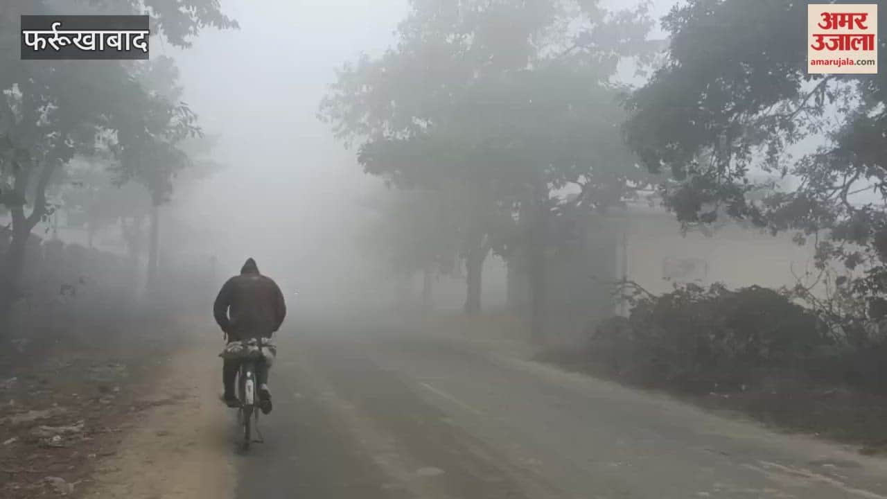 Farrukhabad: Dense Fog and Icy Winds Bring Life to a Standstill