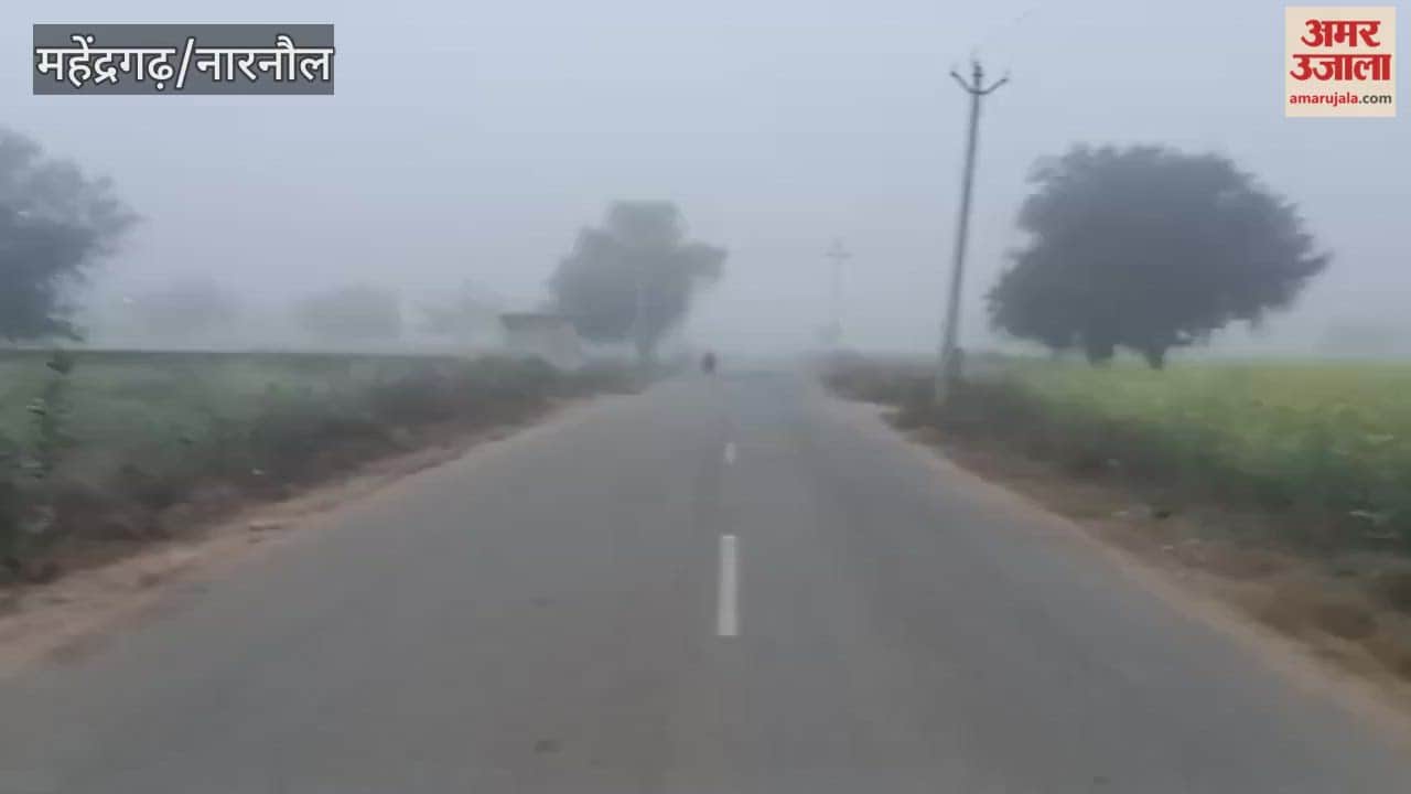 The cold wave has intensified the chill in Narnaul, and fog has slowed down vehicular traffic.