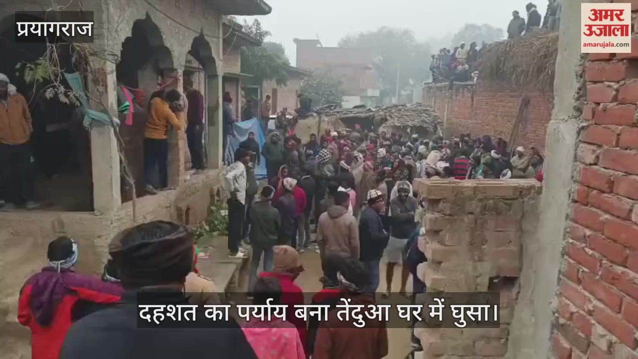 A leopard, synonymous with terror, entered a house, and a crowd of villagers gathered.