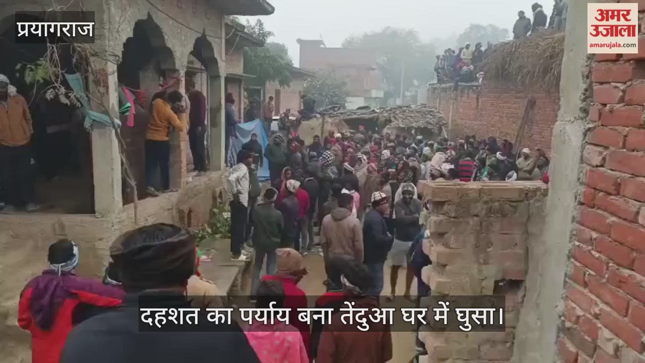 A leopard, synonymous with terror, entered a house, and a crowd of villagers gathered.