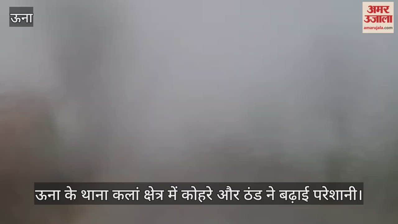 Fog and cold increased problems in Thana Kalan area of Una.