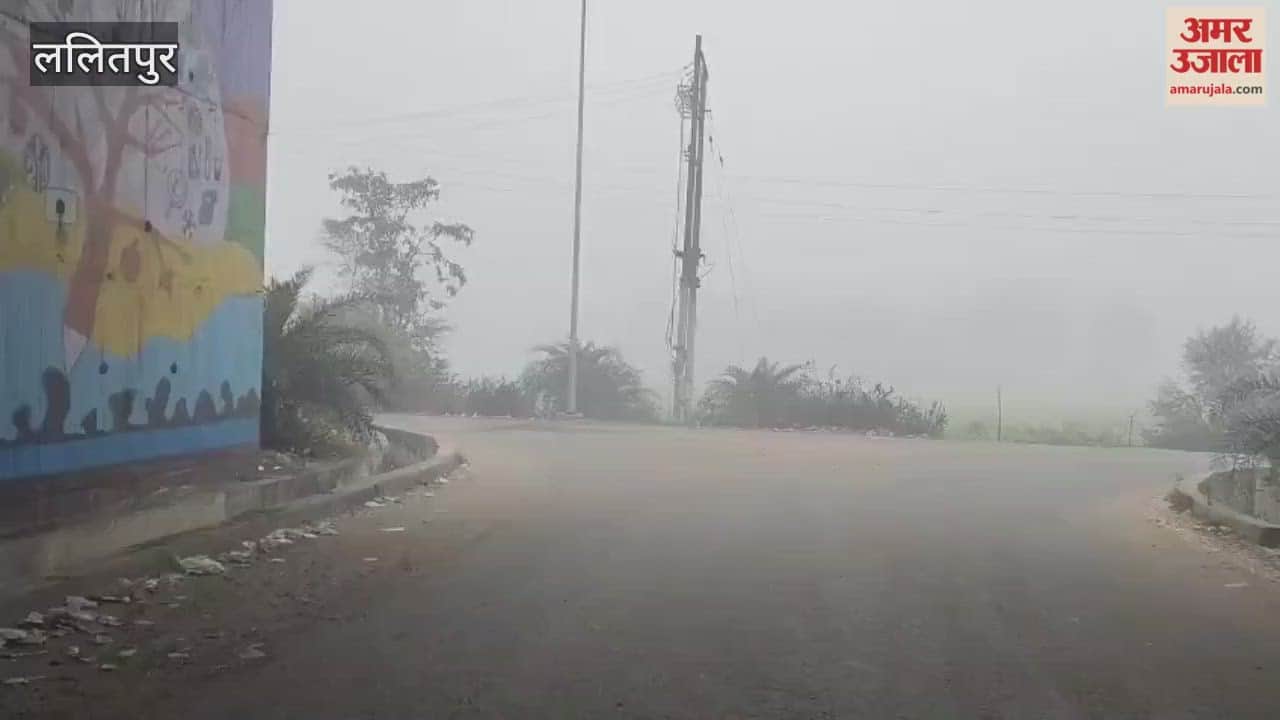 Lalitpur: Fog and cold wave increase the melting, people huddled in their homes