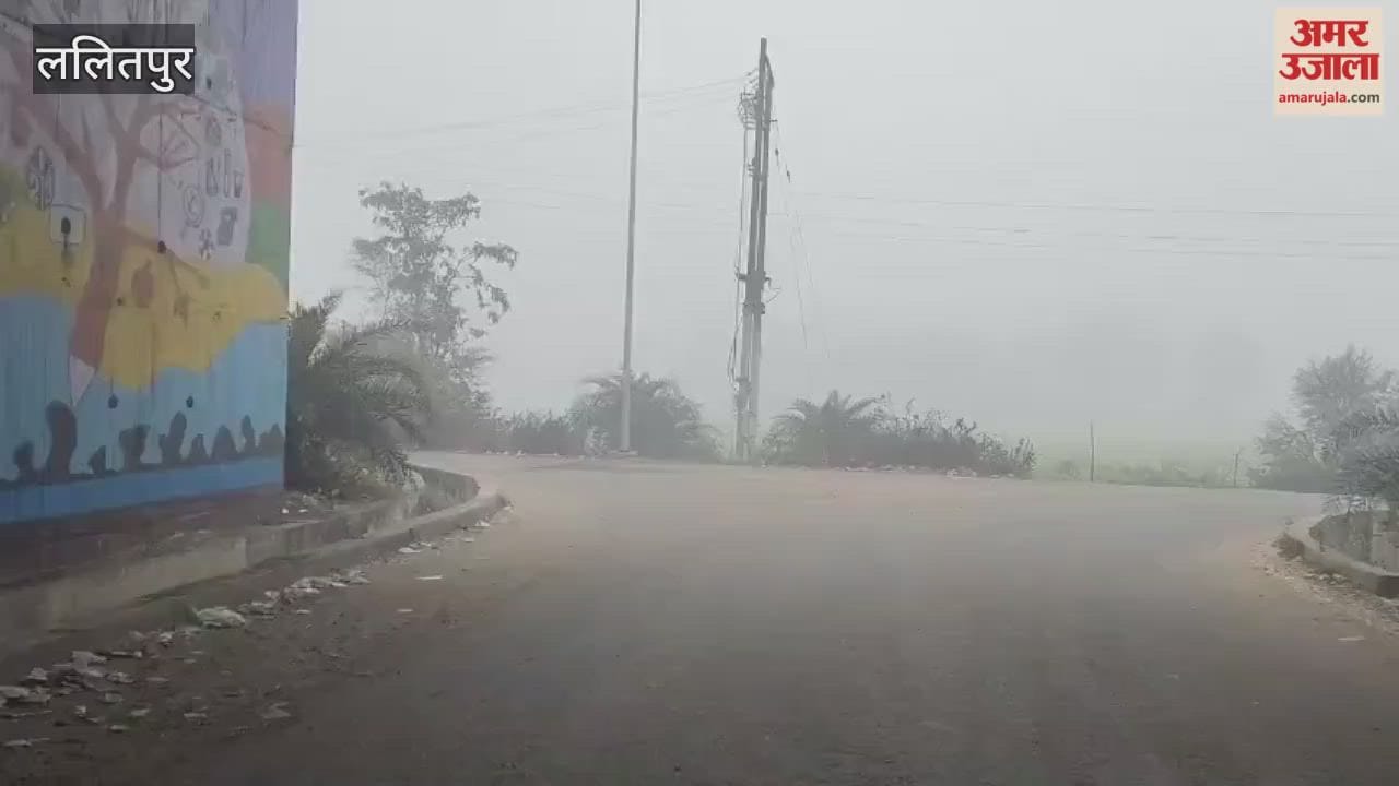 Lalitpur: Fog and cold wave increase the melting, people huddled in their homes