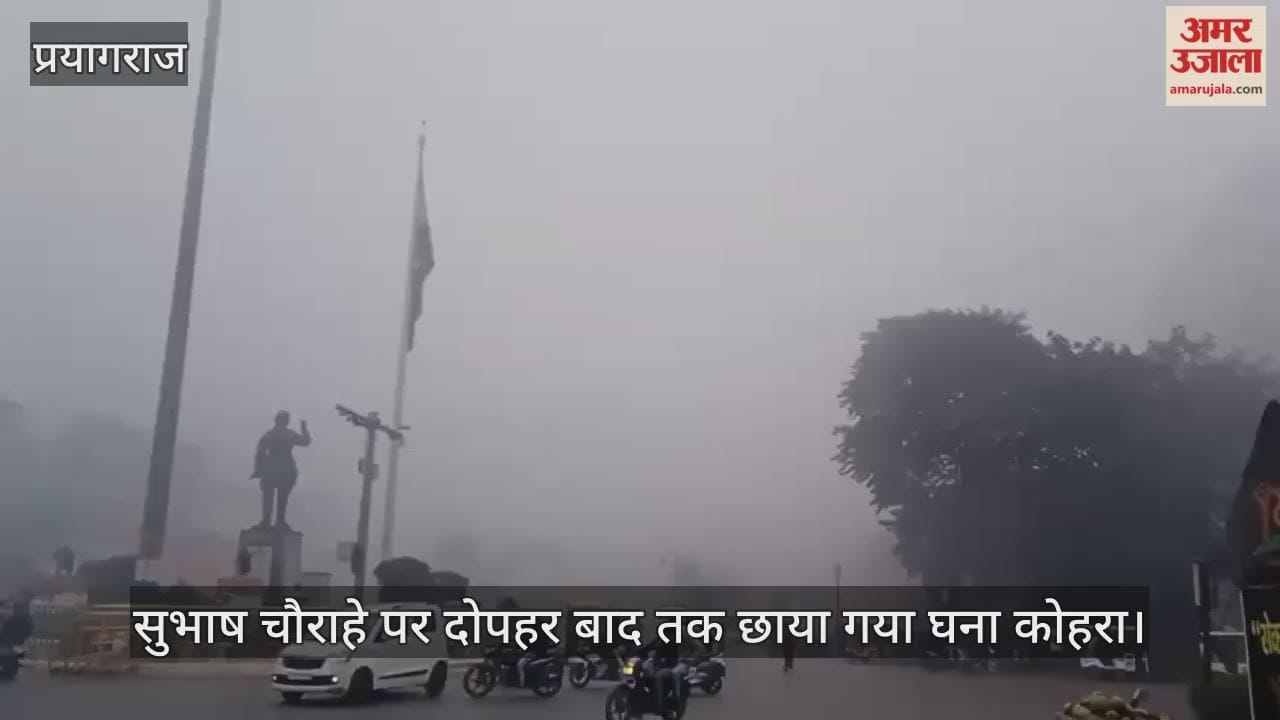 Prayagraj Weather: Cold wave, cold and dense fog halted the pace of life, people shivered even under the blanket.