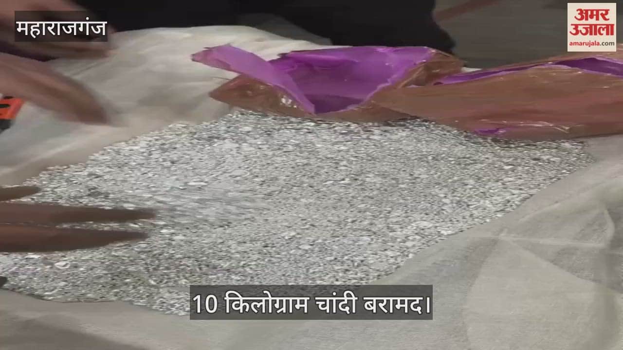 Customs department seized 10 kg silver at the border, hidden in the cavity of a car.