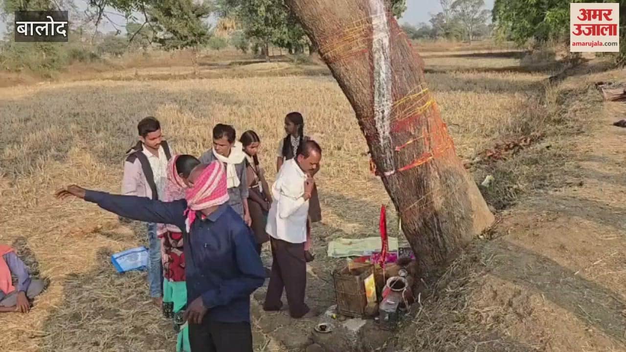 liquid substance has been seen oozing from a neem tree in Balod