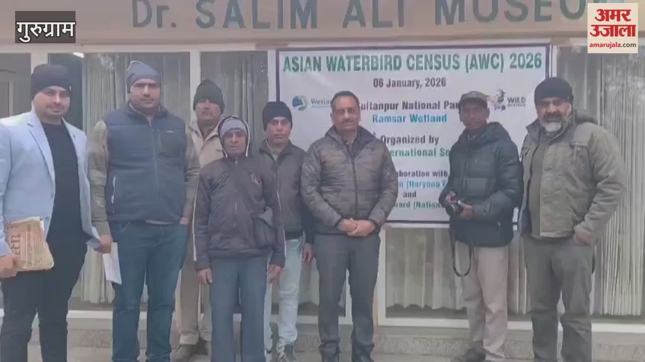 Survey of bird experts continues in Sultanpur and Najafgarh in gurugram