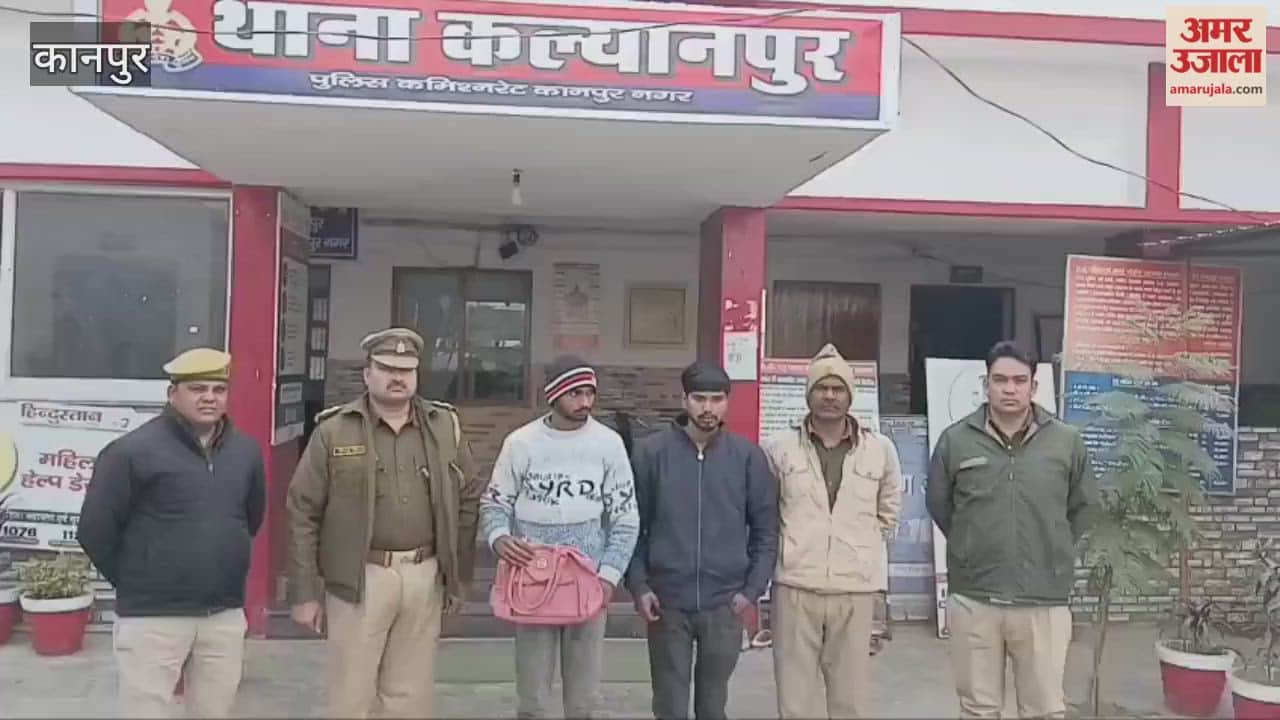 Two robbers sent to jail for snatching woman's purse