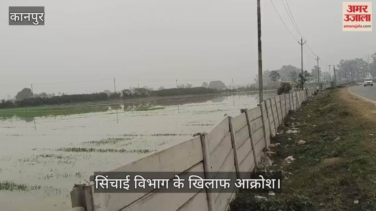 कानपुर: छतरपुर गांव के पास रजबहा कटा; दर्जनों एकड़ फसल जलमग्न, किसानों में हाहाकार