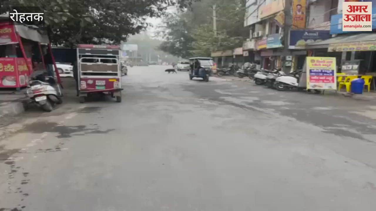 no sunshine in Rohtak minimum temperature remained at nine degrees Celsius