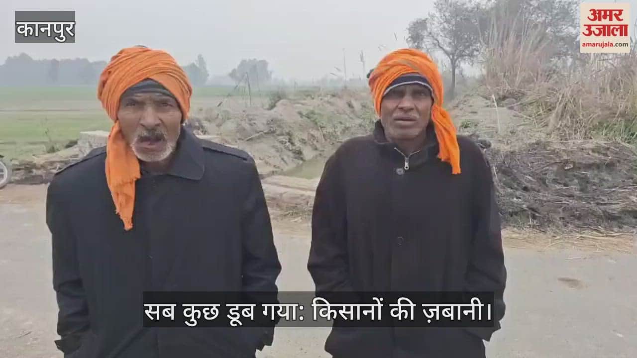 कानपुर: किराए की जमीन पर कर्ज लेकर बोया था गेहूं, अब आंखों के सामने डूबी किस्त और किस्मत