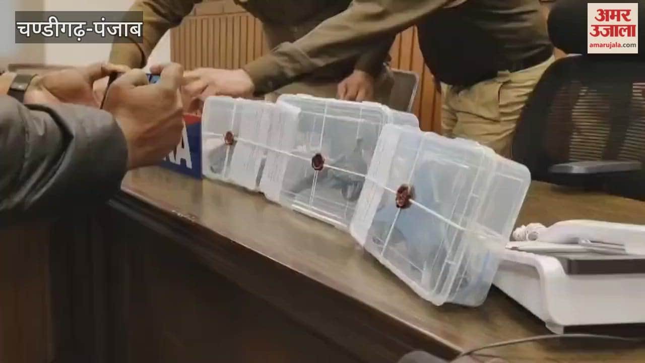 An accused involved in selling weapons in Ferozepur has been arrested, and three pistols (one foreign-made and two locally made) and nine cartridges have been recovered.