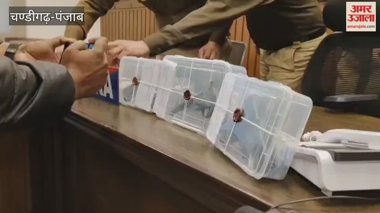 An accused involved in selling weapons in Ferozepur has been arrested, and three pistols (one foreign-made and two locally made) and nine cartridges have been recovered.