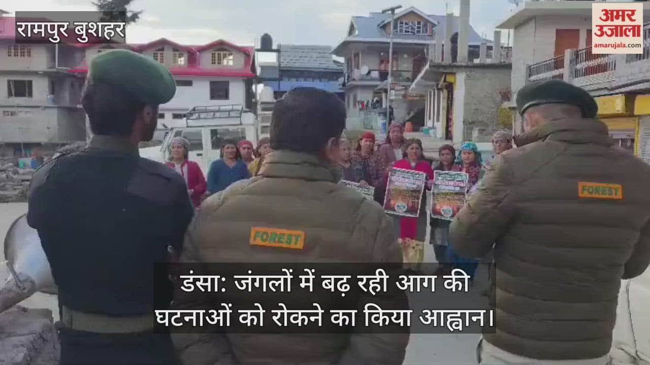 Dansa: Calls to stop increasing incidents of forest fires