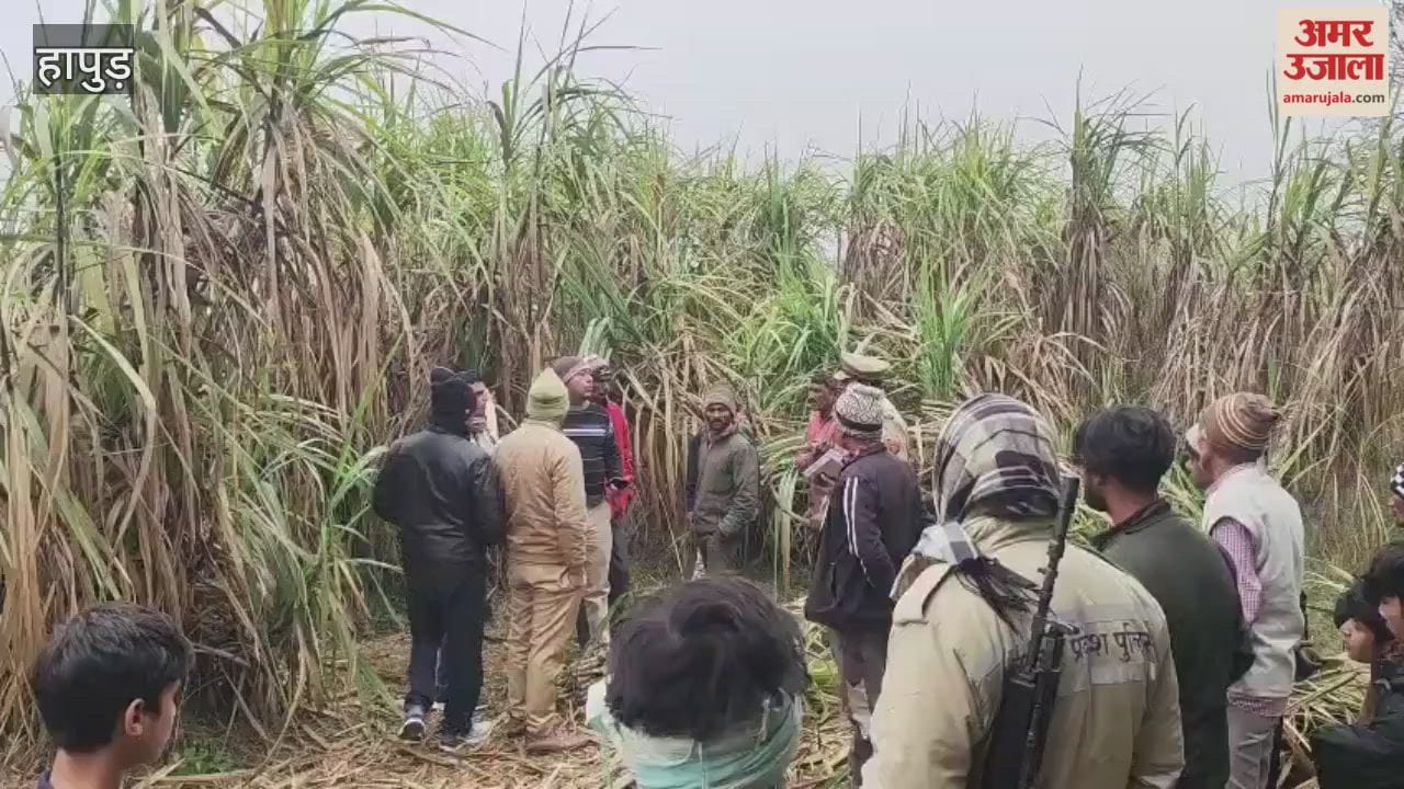 burnt and decomposed body of an unidentified woman found in a field in Hapur