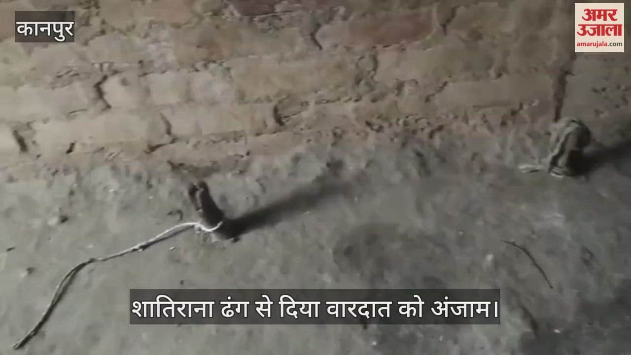 कानपुर: पशुबाड़े का ताला काट सात बकरे पार; लाखों की चोरी से बेहाल हुआ किसान