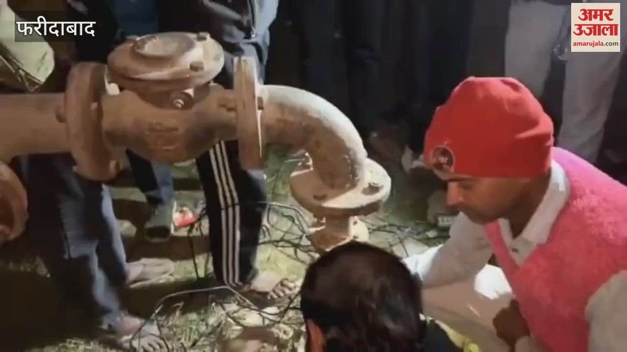 Four puppies fell into a borewell in Faridabad