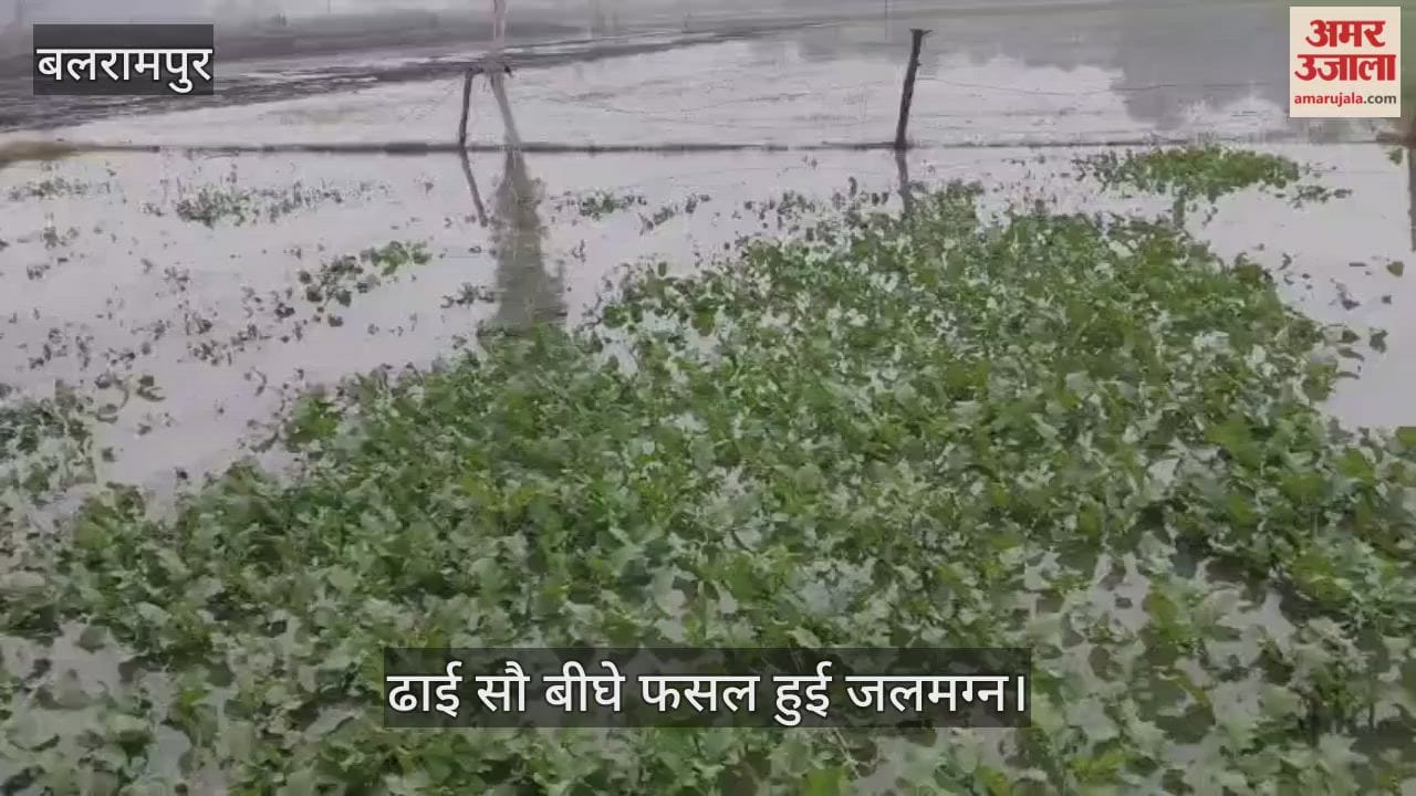 VIDEO: नहर कटने से करीब ढाई सौ बीघे गेहूं, सरसों और आलू की फसल हुई जलमग्न