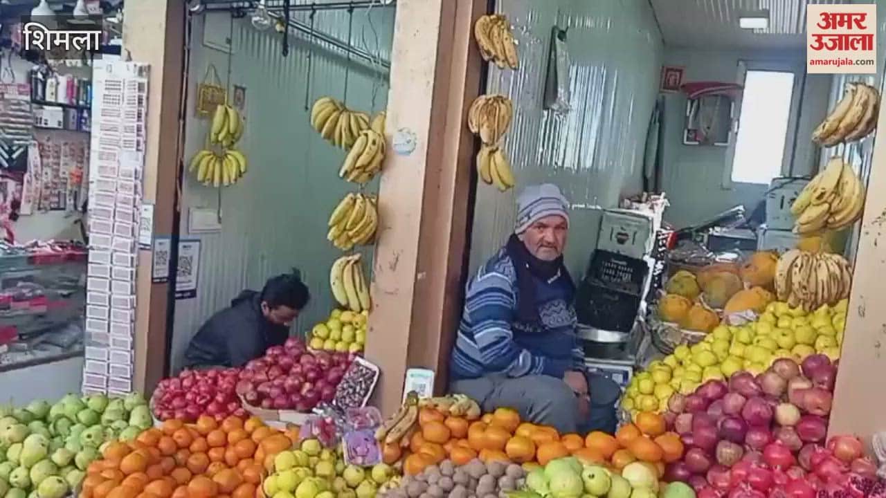 Shimla Peas were sold at Rs 30 to 40 per kilogram in the vegetable market