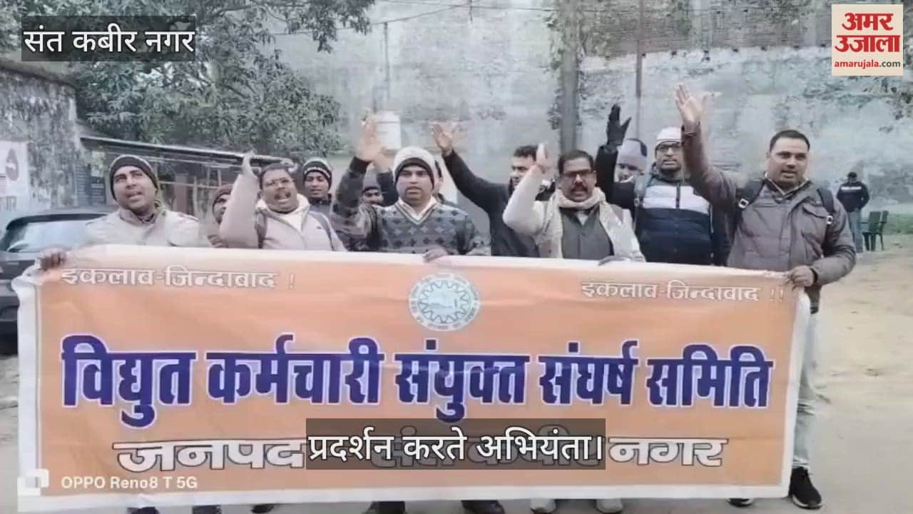 Electricity workers staged a sit-in protest against privatisation.