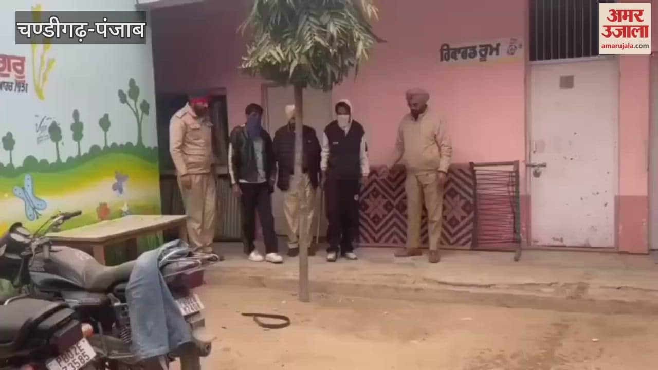 Two drug traffickers arrested in Moga with 150 narcotic pills