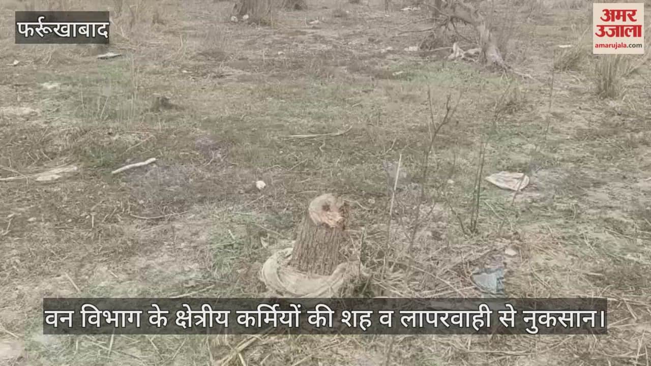 फर्रुखाबाद के कटरी धर्मपुर वन क्षेत्र से कट गए सैकड़ों शीशम के पेड़