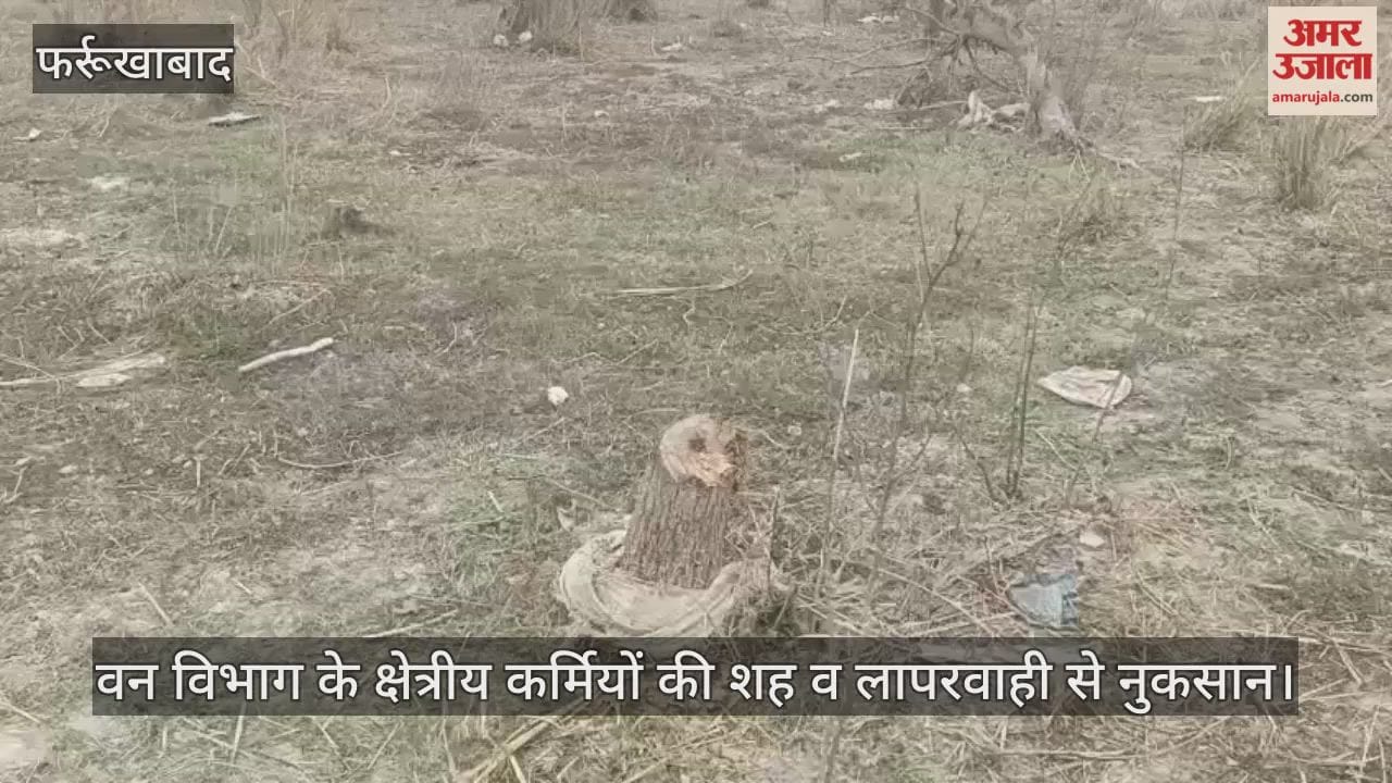 फर्रुखाबाद के कटरी धर्मपुर वन क्षेत्र से कट गए सैकड़ों शीशम के पेड़