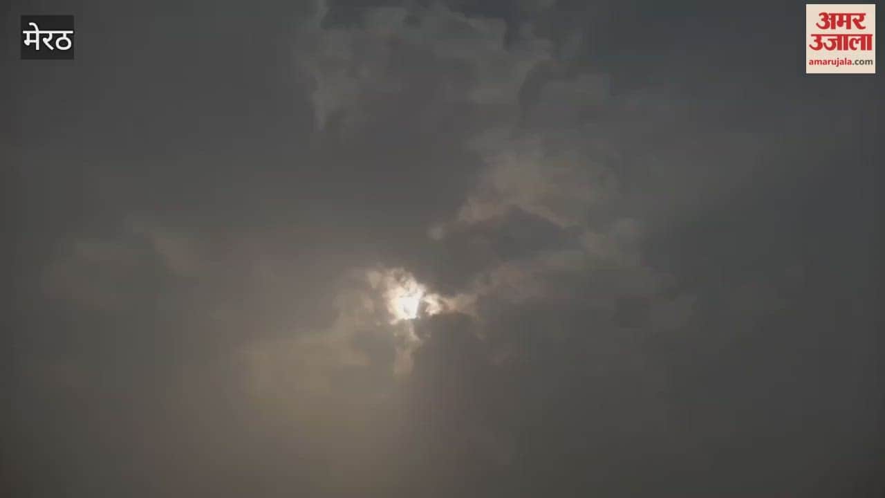 Meerut: The city is enveloped in dense fog; even the sun offers no relief, and the cold weather is expected to persist