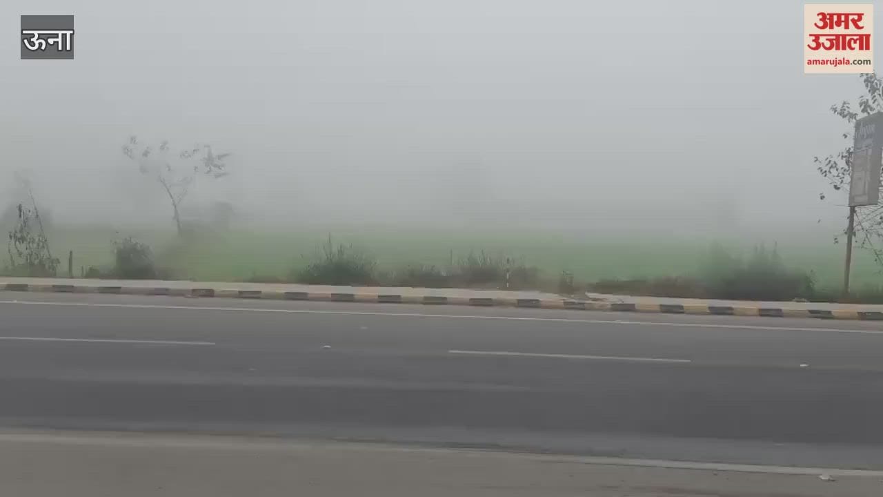 Una Dense fog continues to wreak havoc in the plains disrupting daily life