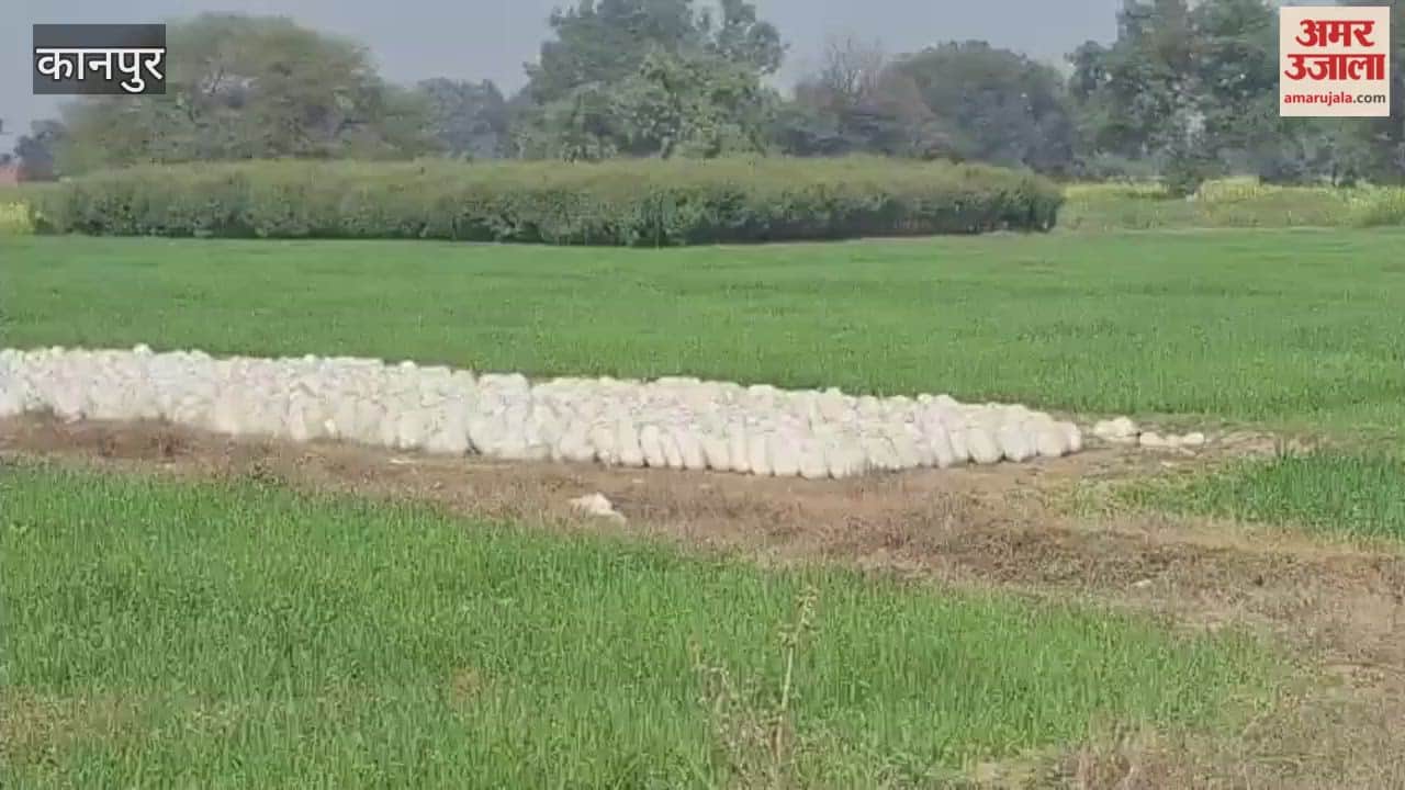 Villagers distressed as pumpkin traders fail to arrive; crops on verge of rotting in the fields