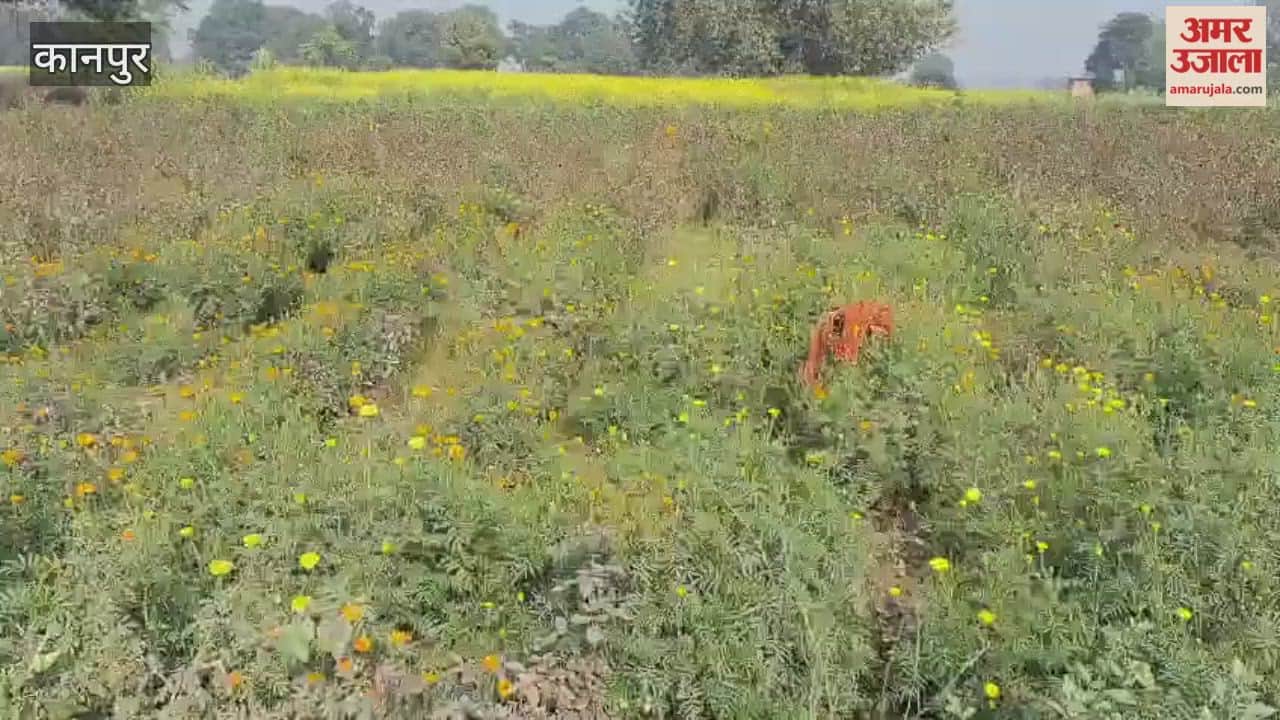 fragrance of flowers is trapped in dewdrop, and the faces of the gardeners are downcast