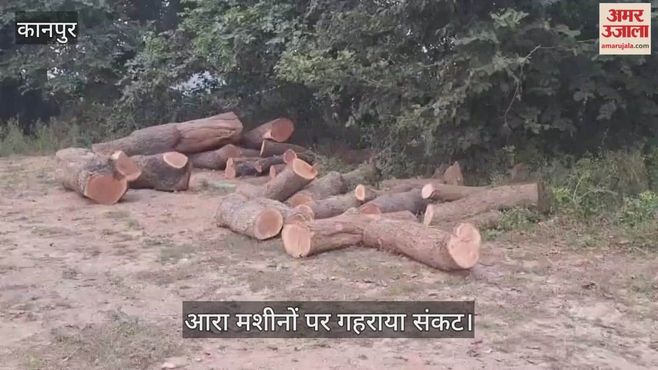 कानपुर: अलाव के लिए जलौनी लकड़ी की किल्लत; आरा मशीनों पर स्टॉक खत्म, आसमान छू रहे दाम