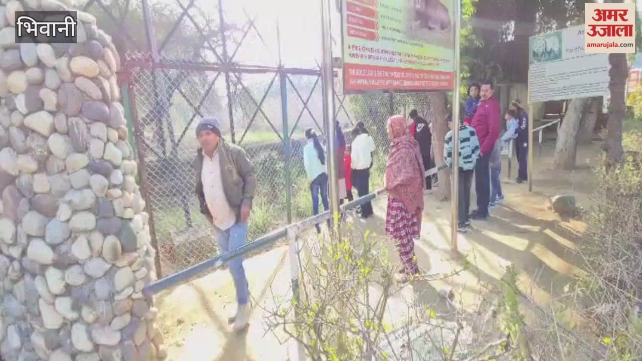 The temperature in Bhiwani dropped to 4.5 degrees Celsius, and arrangements have been made to protect the wild animals in their enclosures at the mini zoo from the cold.