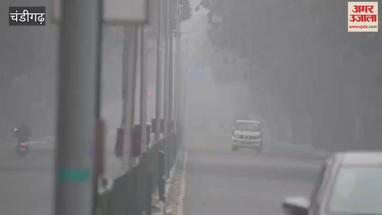 Fog in Chandigarh weather