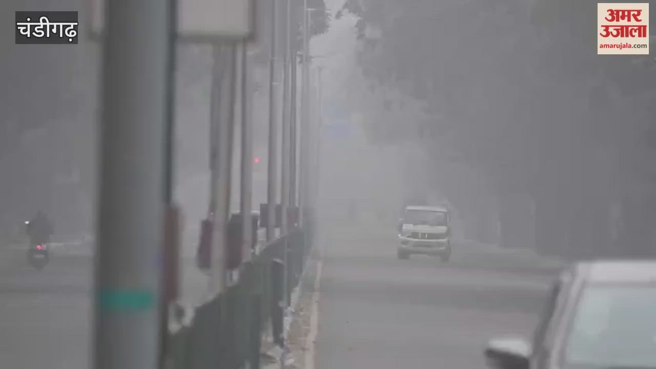 Fog in Chandigarh weather