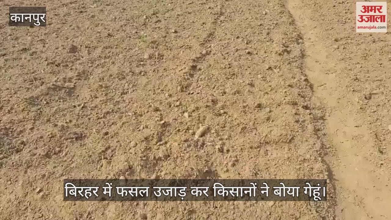 कानपुर: भीषण ठंड ने बिगाड़ा मूली का बाजार, डिमांड घटी तो औंधे मुंह गिरे दाम