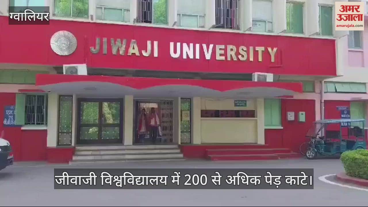 Gwalior News: Hundreds of lush green trees cut down at Jiwaji University.