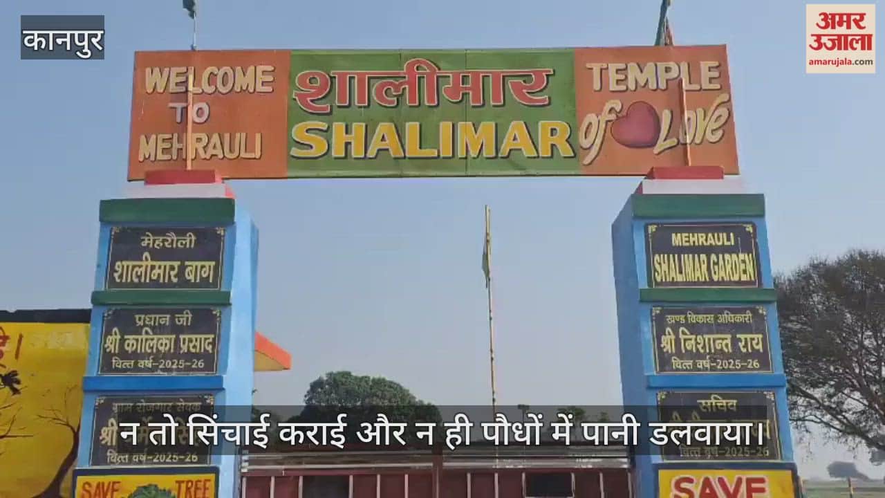 कानपुर शालीमार बाग : कोहरे की मार से मुरझा रहे पौधे, प्रशासन के इंतजाम कागजों तक सीमित