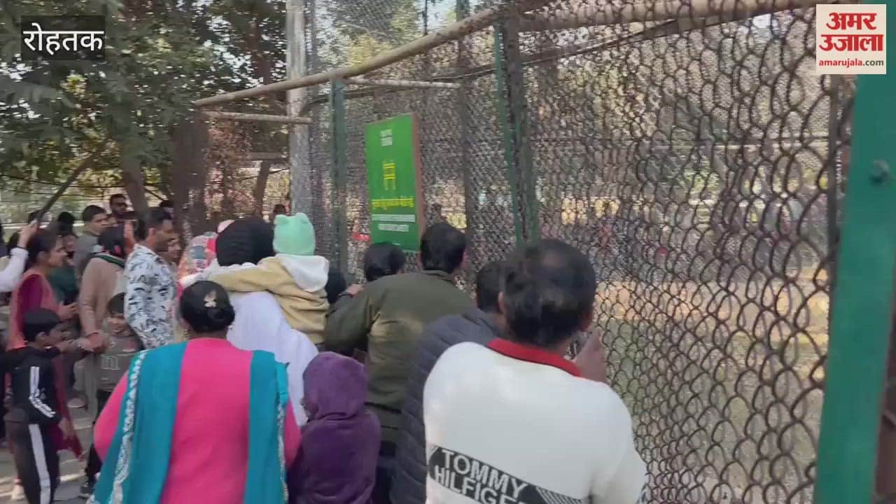 As the sun shone in Rohtak, tourists heard the roar of tigers and lions.