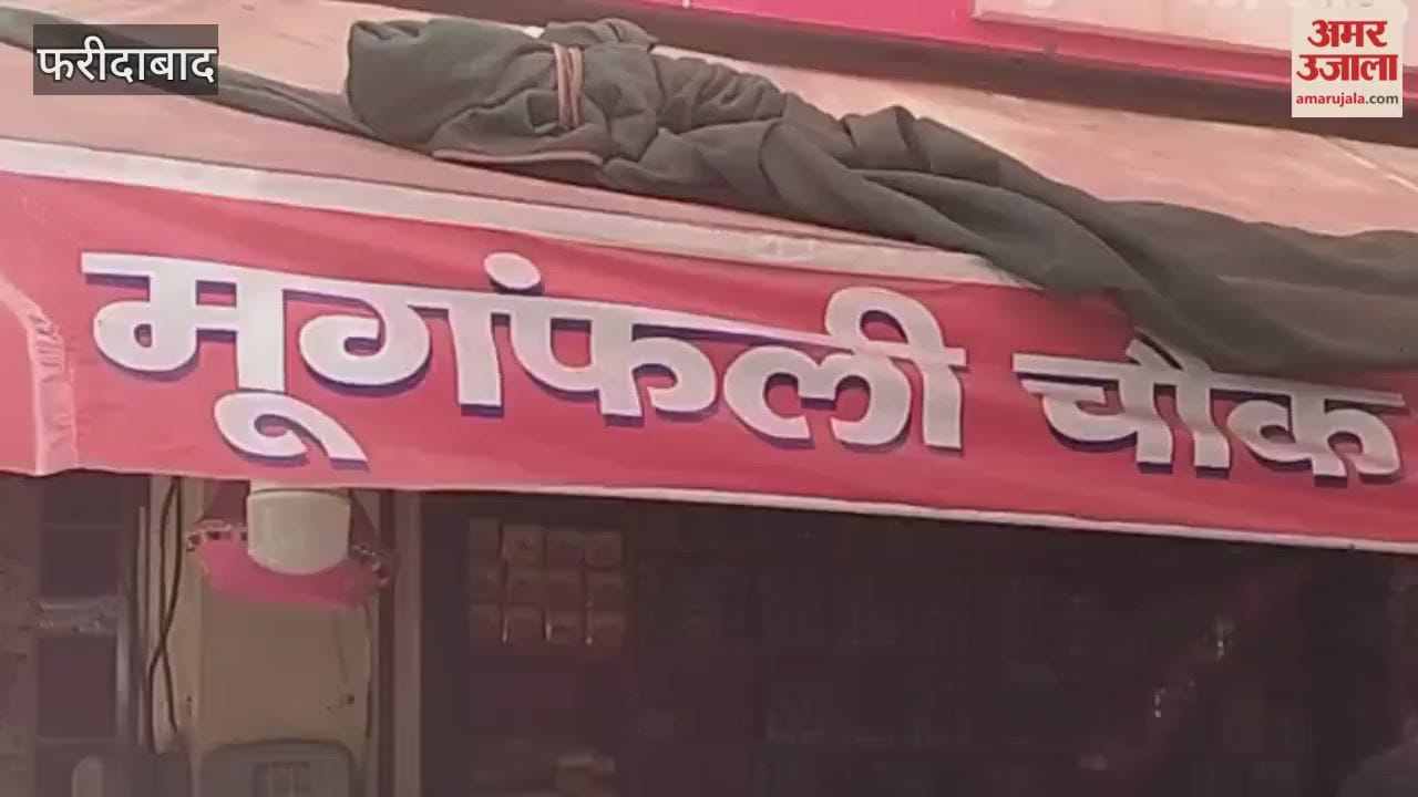 Shops selling rewari and gajak for Lohri and Makar Sankranti have been set up at Mungfali Chowk in Faridabad