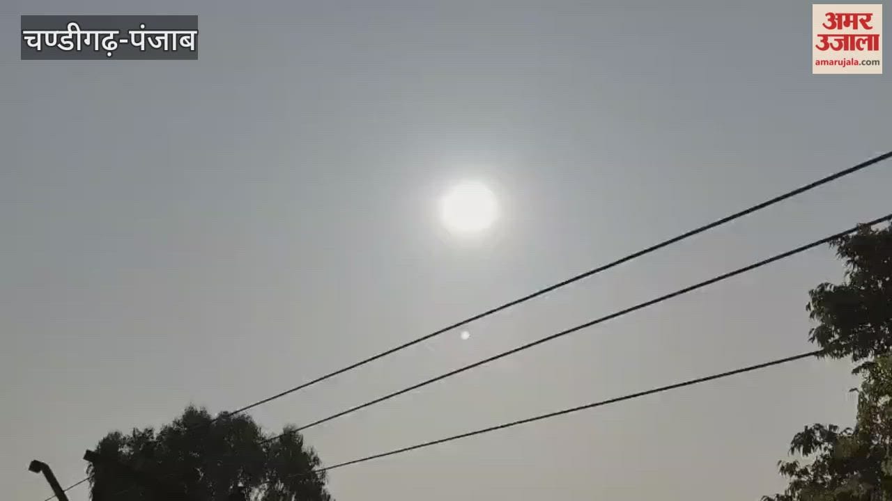 Sun light and relief from cold in Phagwara