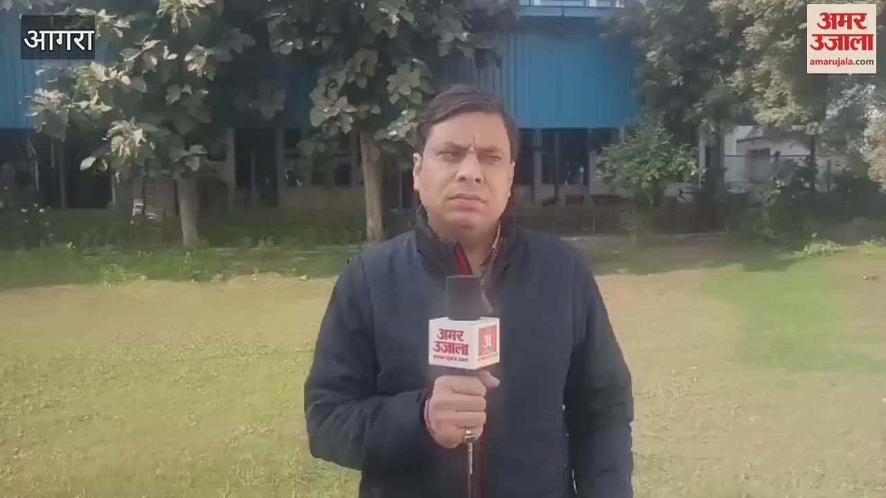 nine-year-old girl fell from roof during monkey attack in agra