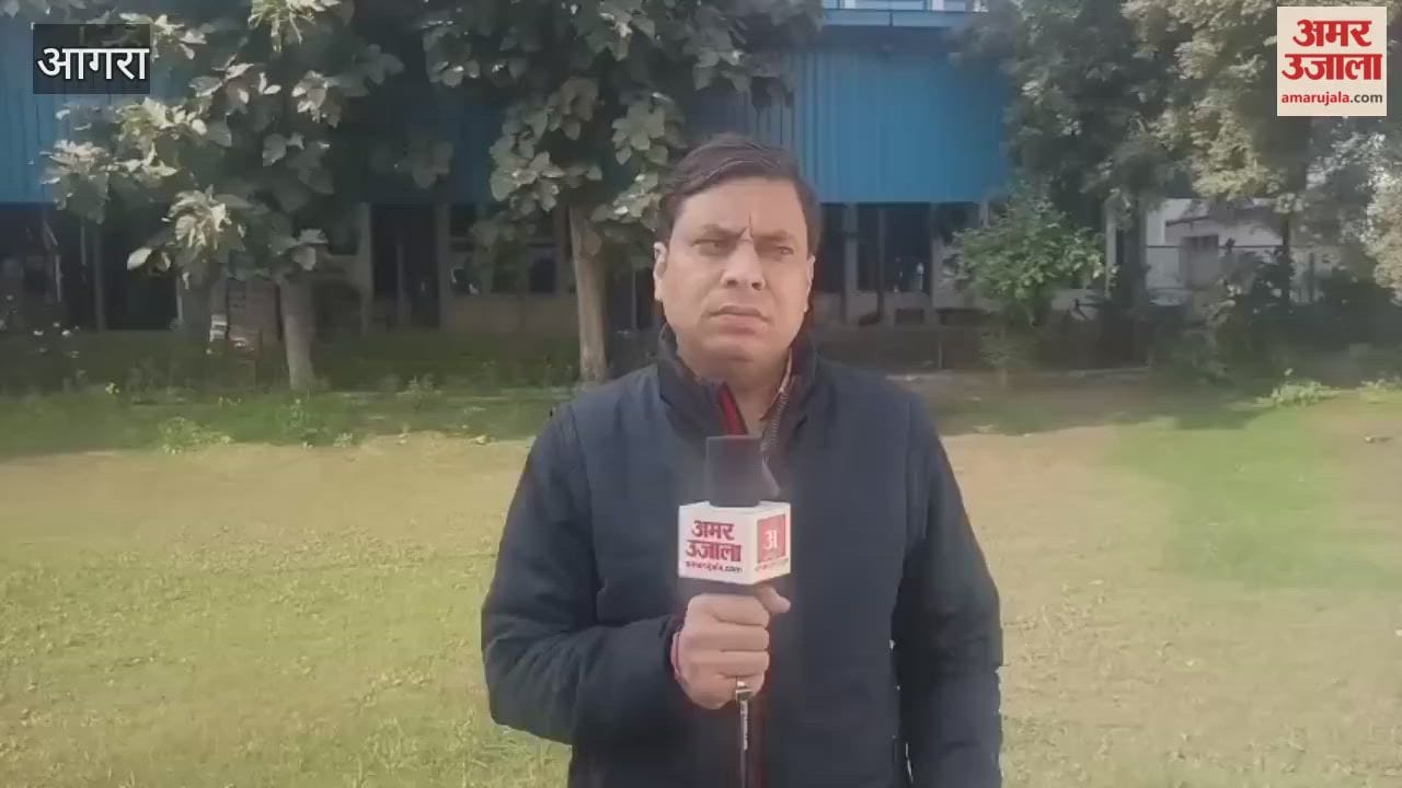 nine-year-old girl fell from roof during monkey attack in agra