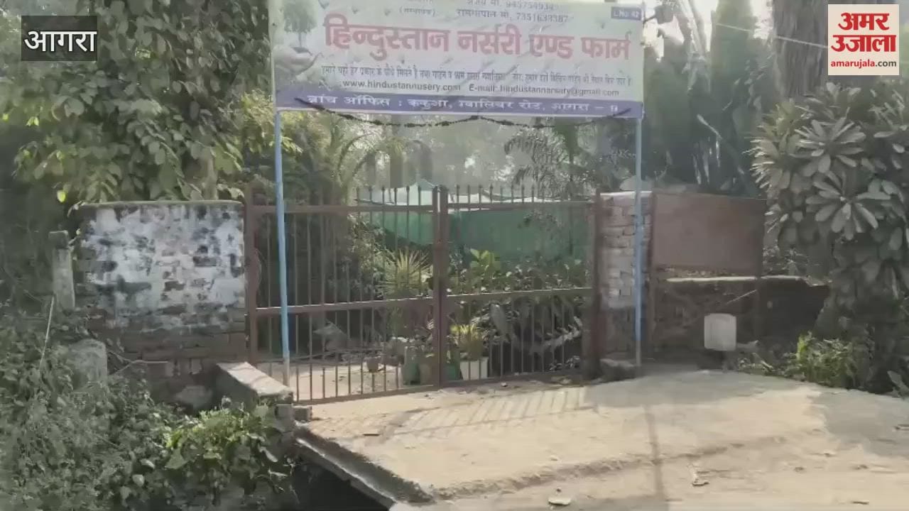 young man body was found hanging from tree in nursery