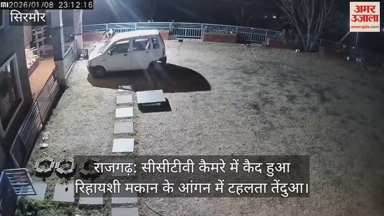 Leopard caught on CCTV camera strolling in the courtyard of a residential house