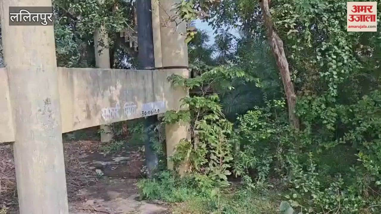 Lalitpur: Drinking water tank in Talbehat has not been cleaned for five years, water is being supplied to more than seven thousand people.