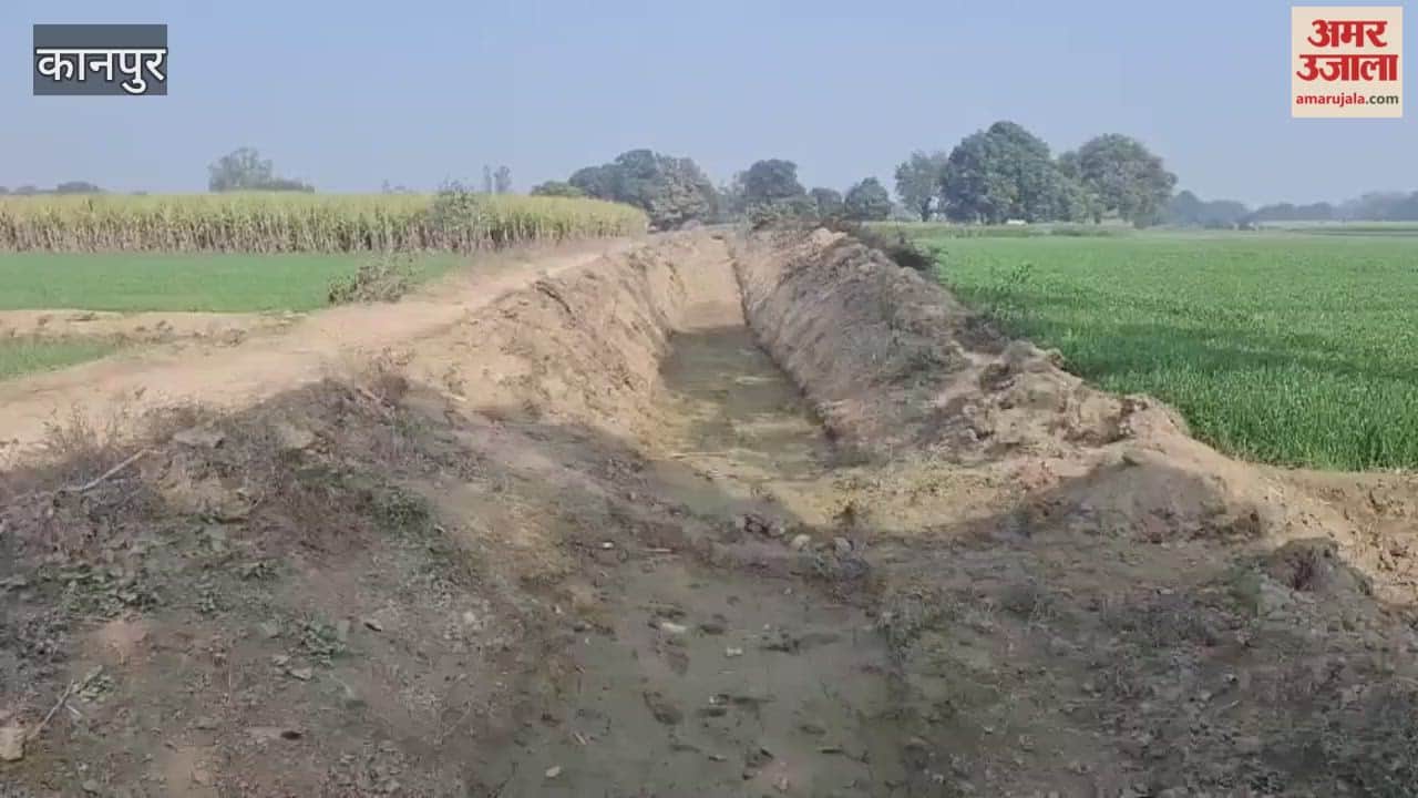 Madepur minor canal is cleaned every year, but water hasn't reached its end for years