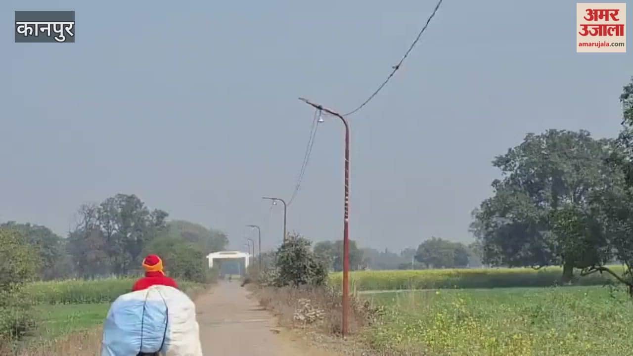 Darkness prevails in human settlements, but the deserted roads are illuminated