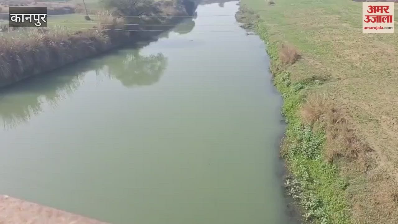 Farmers' faces light up at the sight of the Rind River's continuous flow;