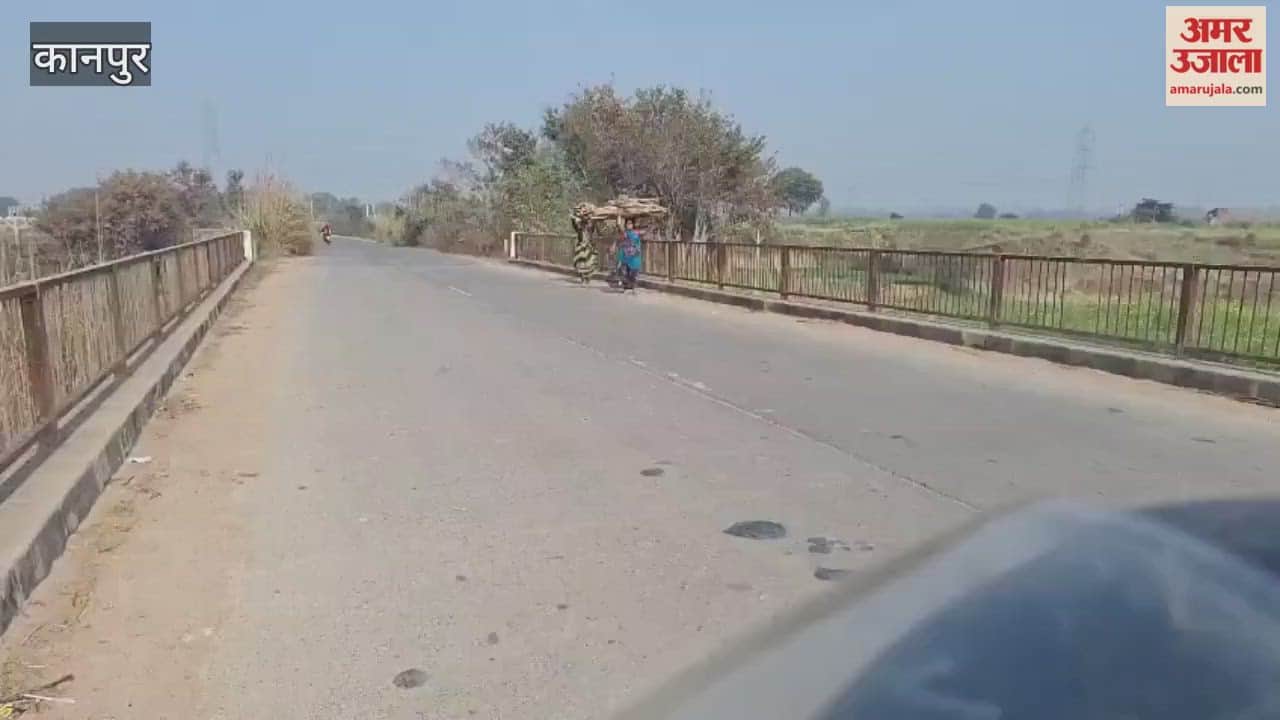 gather firewood for bonfires,rural women are cutting down trees in forests and carrying wood from long distanc